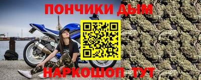 сатива Славгород