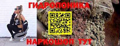 сатива Славгород