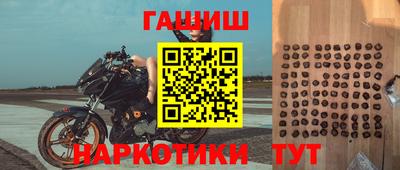 сатива Славгород